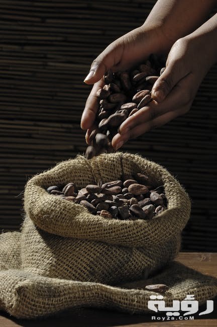تفسير