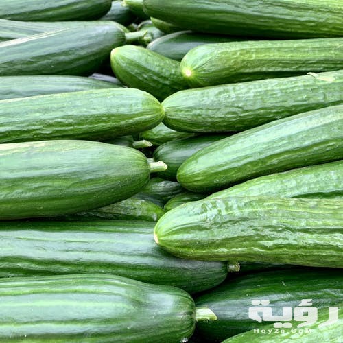 تفسير