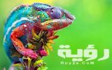 تفسير