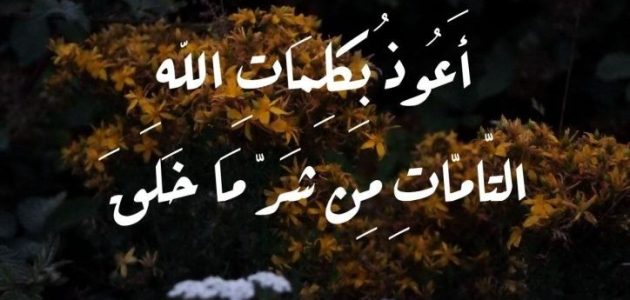 تفسير أعوذ بكلمات الله التامات من شر ما خلق في المنام