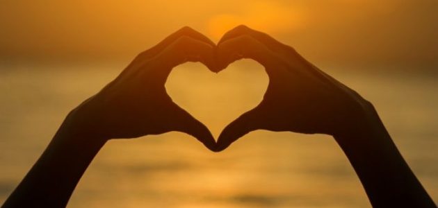 وضعية إدماجية عن الوطن