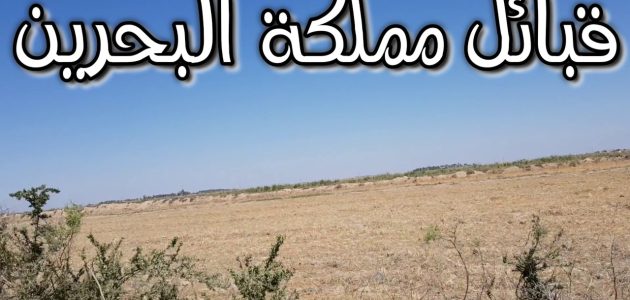 أقدم قبيلة في البحرين