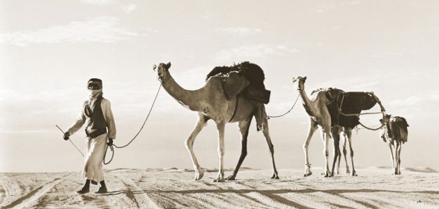 أكبر قبائل الإمارات