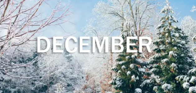 شهر ديسمبر أي شهر بالأرقام December ؟