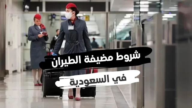 كم راتب مضيفة الطيران في الخطوط السعودية 2024 كم راتب مضيفة الطيران في الخطوط السعودية 2024