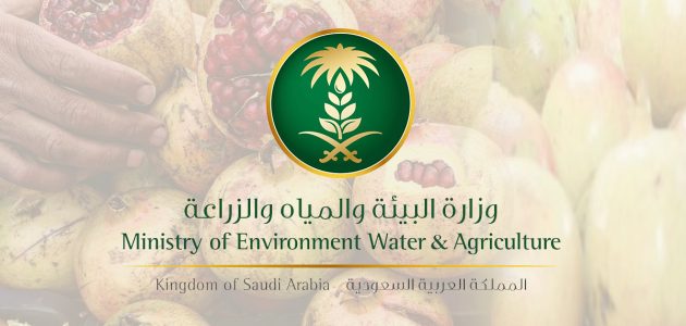 برنامج دعم صغار مربي الماشية 1445