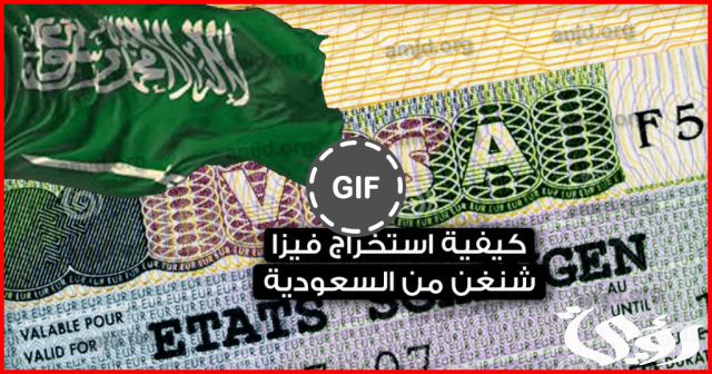كم سعر فيزا شنغن للسعوديين بالدولار والريال؟ كم سعر فيزا شنغن للسعوديين بالدولار والريال؟