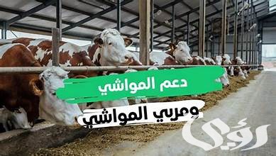 هل دعم المواشي يؤثر على حافز؟ هل دعم المواشي يؤثر على حافز؟