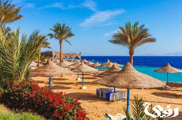 سعر تذكرة الطيران من الرياض الى شرم الشيخ سعر تذكرة الطيران من الرياض الى شرم الشيخ