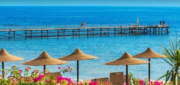 سعر تذكرة الطيران من الرياض الى شرم الشيخ