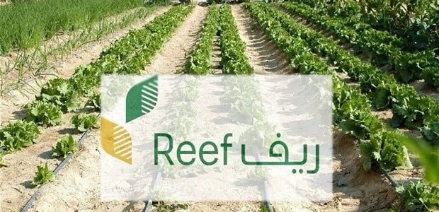شروط دعم النحالين ريف