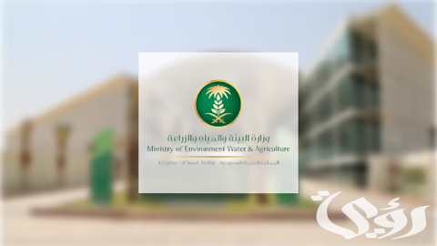 "البيئة" تنفي صحة المعلومات المتداولة بشأن فترة التحريم للماشية وتسببها في أمراضٍ بشرية