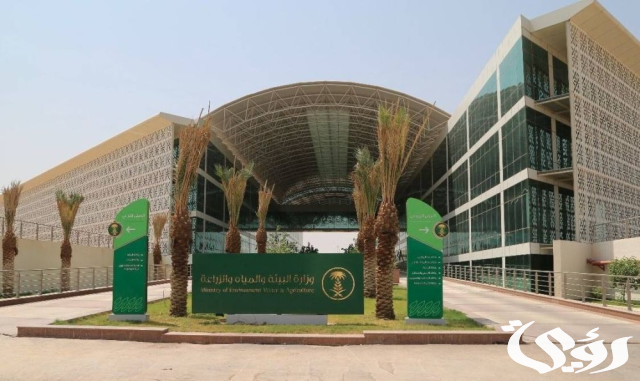 "البيئة" تنفي صحة المعلومات المتداولة بشأن فترة التحريم للماشية وتسببها في أمراضٍ بشرية "البيئة" تنفي صحة المعلومات المتداولة بشأن فترة التحريم للماشية وتسببها في أمراضٍ بشرية
