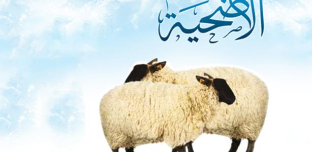 كيفية حجز موعد ذبح الأضحية في الكويت 2024 والشروط المطلوبة