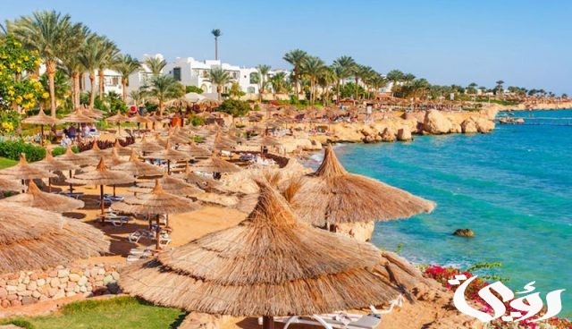 رئيس الوزراء يتفقد مشروعات تنموية وخدمية في شرم الشيخ رئيس الوزراء يتفقد مشروعات تنموية وخدمية في شرم الشيخ
