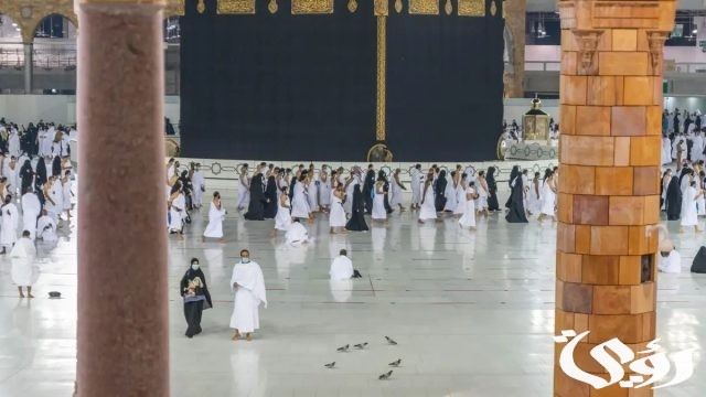 عاجل: إيقاف إصدار تصاريح العمرة عبر تطبيق نسك من اليوم وحتى 15 ذي الحجة عاجل: إيقاف إصدار تصاريح العمرة عبر تطبيق نسك من اليوم وحتى 15 ذي الحجة