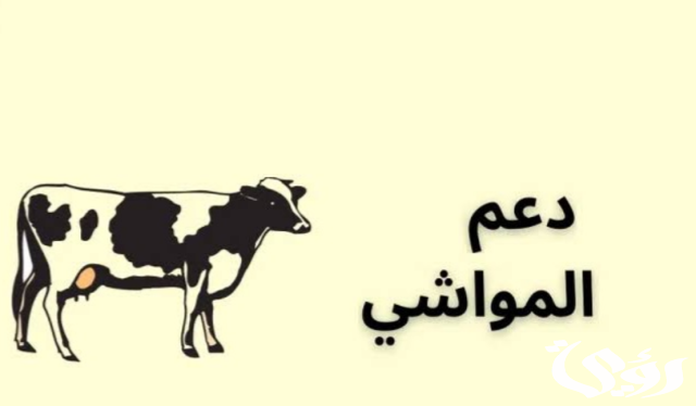 هل يؤثر دعم المواشي على التأهيل الشامل في السعودية