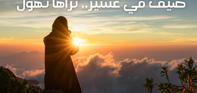 بشعار "صيّف في عسير.. تراها تهول".. تركي بن طلال يطلق موسم الصيف