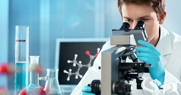 فروع المختبر في مصر العناوين ورقم التواصل 2024 فروع المختبر في مصر العناوين ورقم التواصل 2024