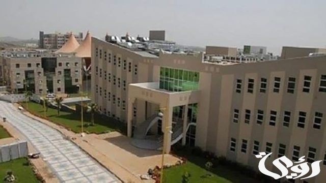 نسب القبول في جامعة جدة نسب القبول في جامعة جدة