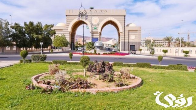 نسبه القبول في الجامعة الإسلامية في المدينه المنورة نسبه القبول في الجامعة الإسلامية في المدينه المنورة