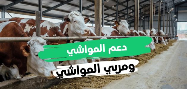 هل يؤثر دعم المواشي على التأهيل الشامل في السعودية