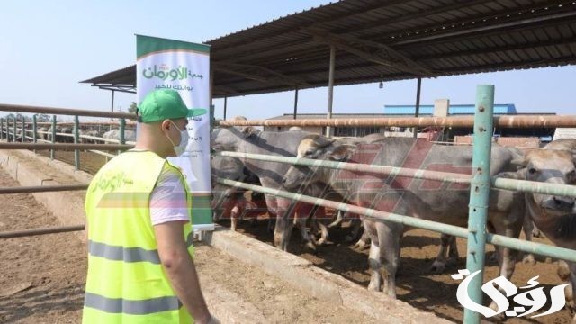 اسعار صك الاضحية 2024 اسعار صك الاضحية 2024