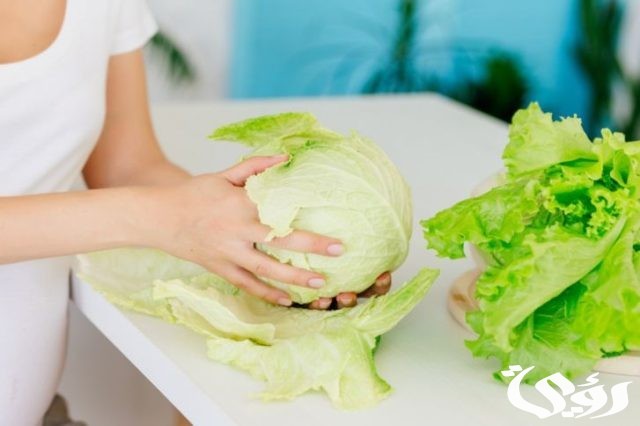 هل الملفوف مسموح في نظام الكيتو دايت هل الملفوف مسموح في نظام الكيتو دايت