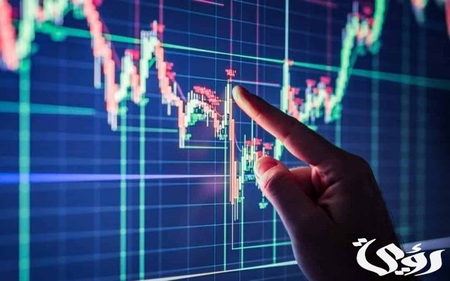 تأثير زيادة رأس المال على سعر السهم تأثير زيادة رأس المال على سعر السهم