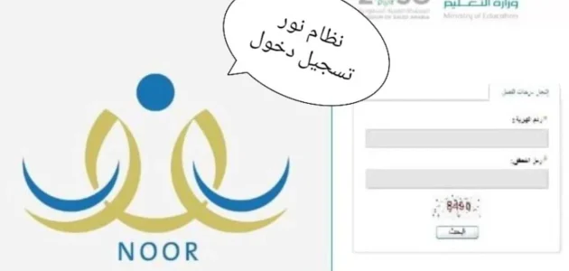 حل مشكلة عطل نظام نور