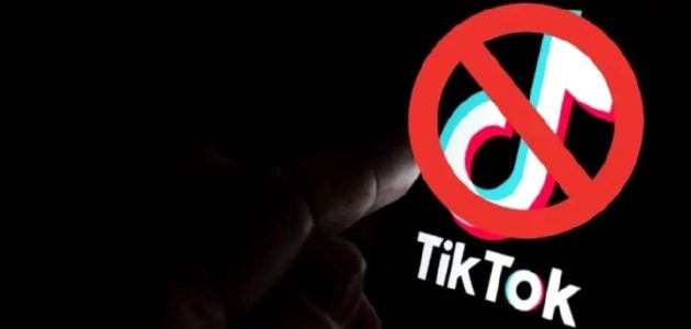 حقيقة الاخبار المتداولة عن حظر تطبيق "تيك توك" في مصر