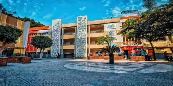 مصاريف و تنسيق كلية BIS بالزمالك مع شروط التقديم 2024-2025
