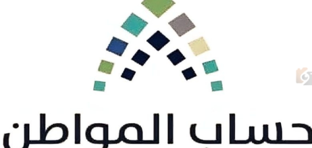 مركبة لا يوجد منها عوائد مالية.. هل يجب الإفصاح عنها في حساب المواطن؟!