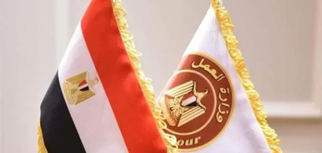 رسمياً.. وزارة العمل تعلن عن وظائف شاغرة براتب يصل إلى 8000 جنيه وتوضح الشروط