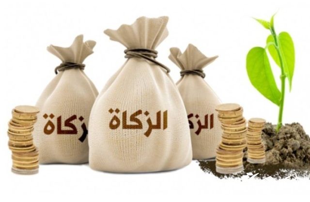كم قيمة زكاة الفطر بالدينار الكويتي 2024 كم قيمة زكاة الفطر بالدينار الكويتي 2024